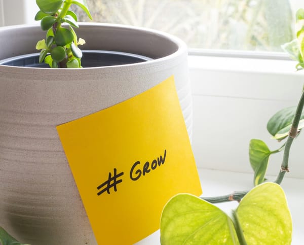 Tuesday's FTB: Growing and harvesting